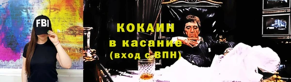 дживик Бронницы