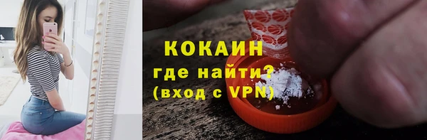 ECSTASY Бородино