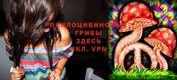 бошки Верхний Тагил