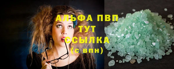 ECSTASY Бородино